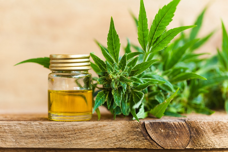 Get Relief from Arthritis Pain with The Help of CBD Oil