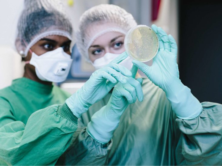 What’s parasite control and how does it help?