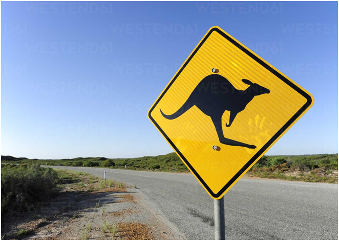 Planning a Trip to Australia: The Ultimate Guide