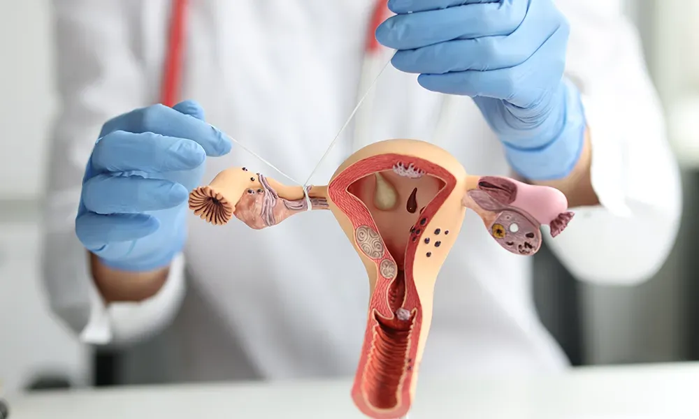 The Miracle of Life: Unveiling the Process of Fertilization