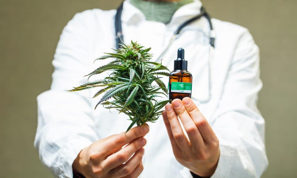 How can CBD oil help improve focus and mental clarity?