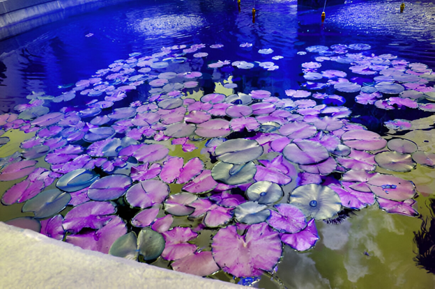 Exploring the Role of UV Lights in Support of Good Bacteria